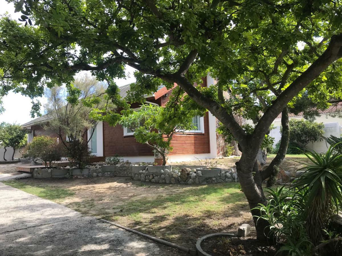 African Holiday Home In Table View ケープタウン エクステリア 写真